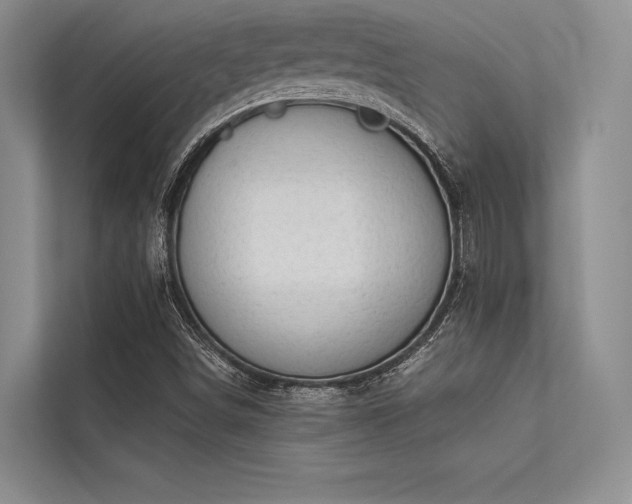 X0000113341498200909221113