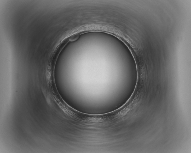 X0000113341499200909221113