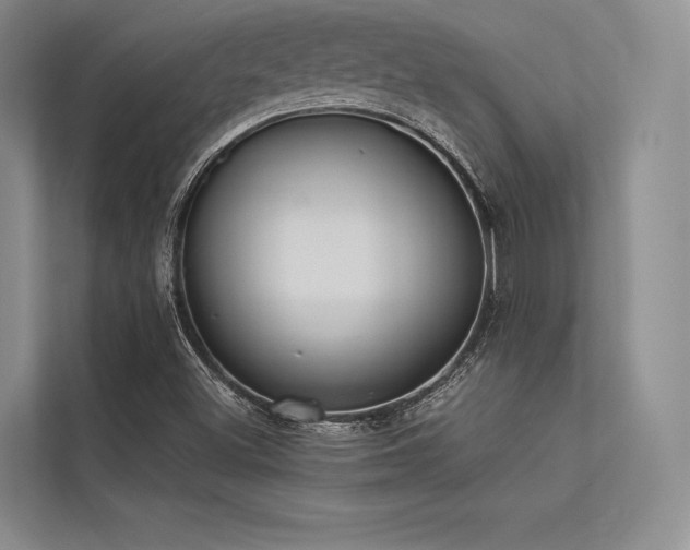 X0000113341500200909221113