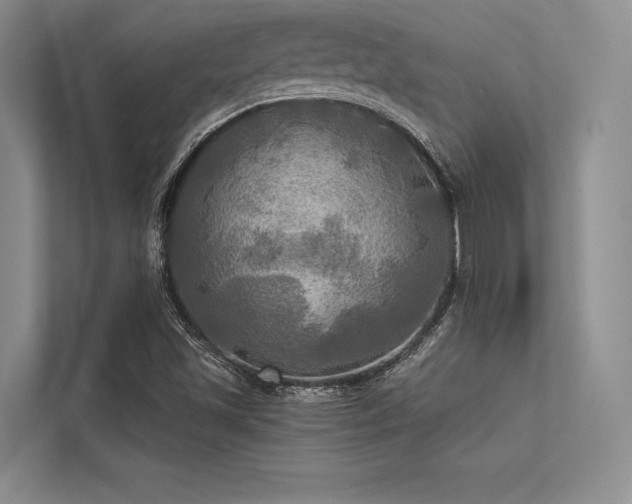 X0000113341501200909221113