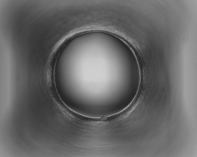 X0000113341502200909221113