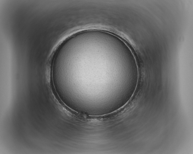 X0000113341504200909221113