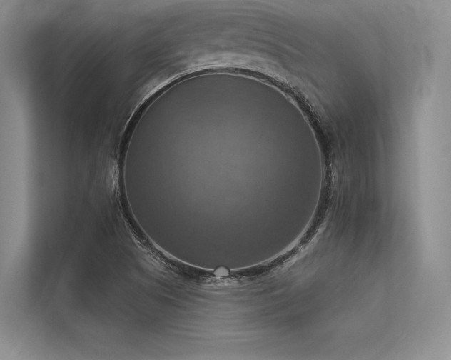 X0000113341505200909221113