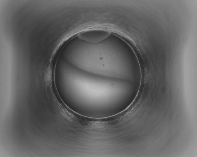 X0000113341506200909221113