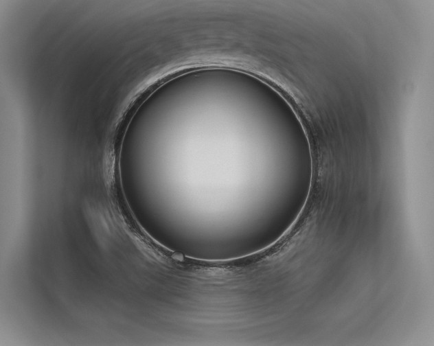 X0000113341507200909221113
