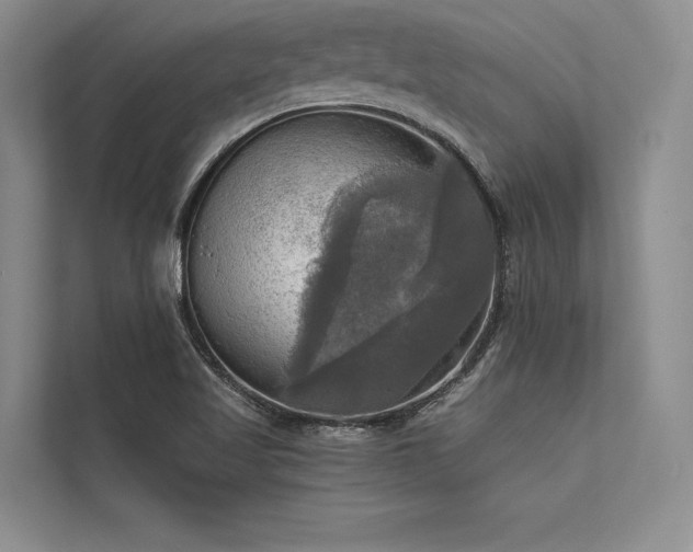 X0000113341509200909221113