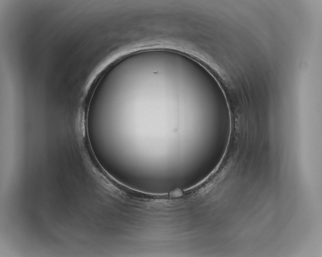 X0000113341510200909221113