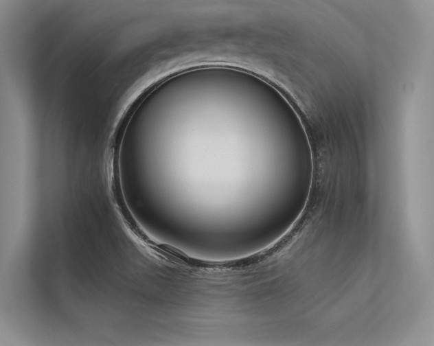 X0000113341511200909221113