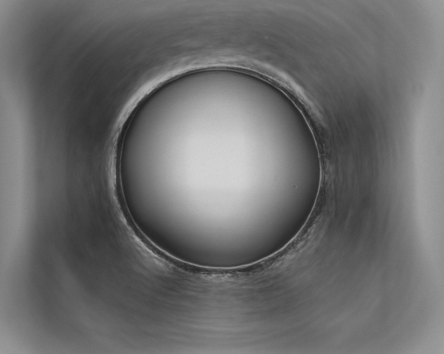 X0000113341512200909221113