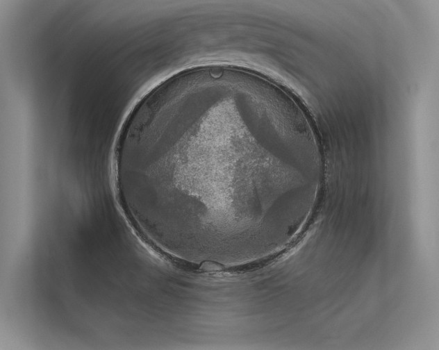 X0000113341517200909221113