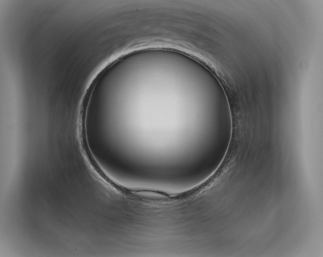 X0000113341518200909221113