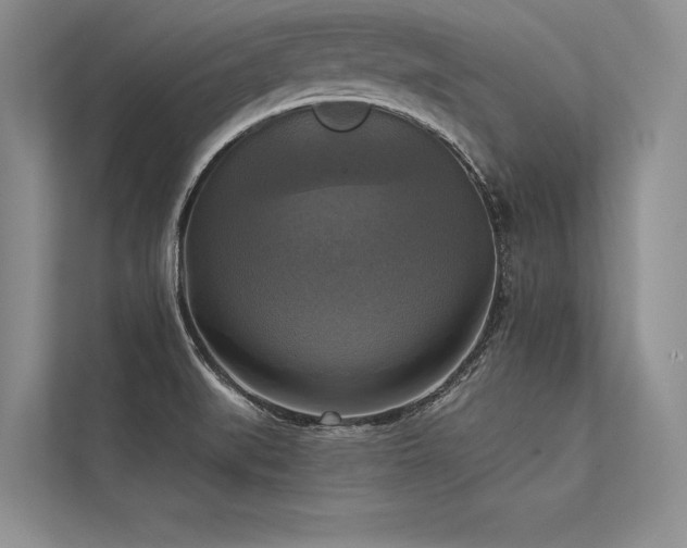 X0000113341519200909221113