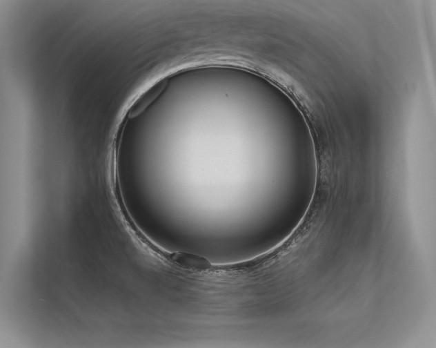 X0000113341520200909221113