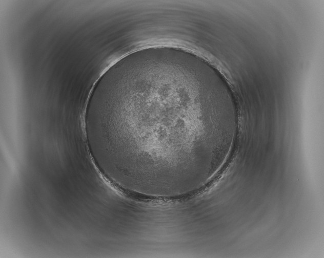 X0000113341521200909221113
