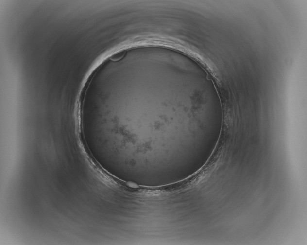 X0000113341522200909221113