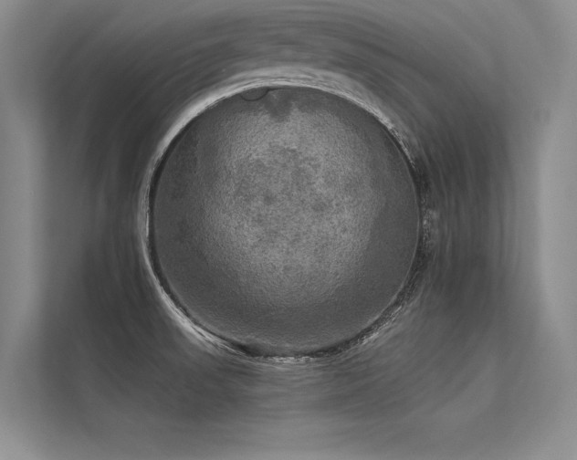 X0000113341523200909221113