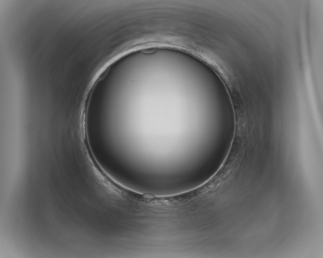 X0000113341524200909221113