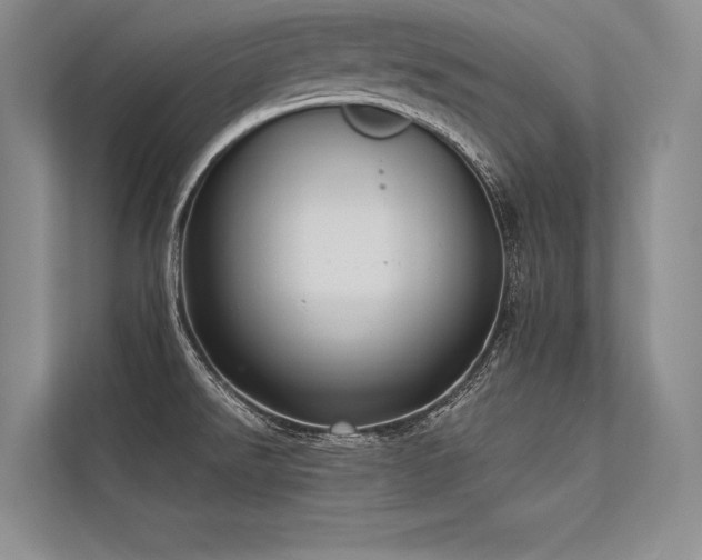 X0000113341526200909221113