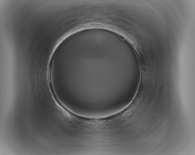 X0000113341527200909221113