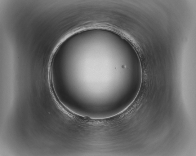 X0000113341528200909221113