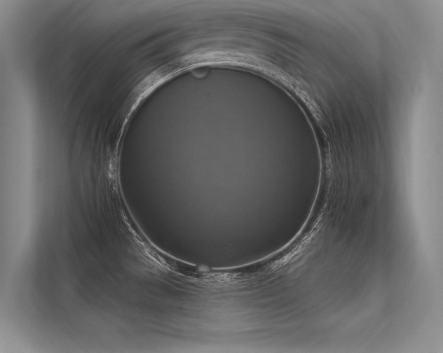 X0000113341529200909221113