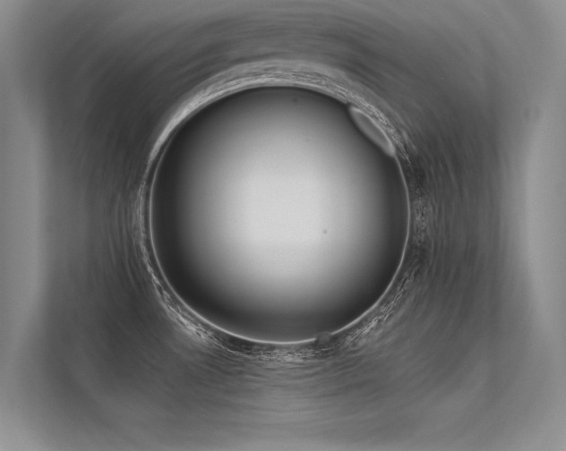 X0000113341530200909221113