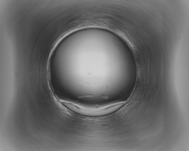 X0000113341532200909221113