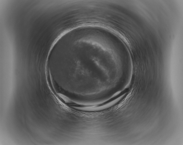 X0000113341533200909221113