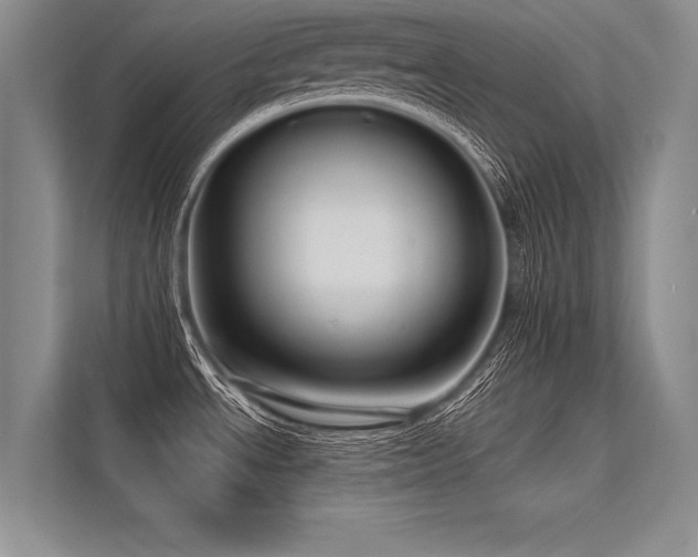 X0000113341534200909221113