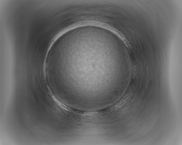 X0000113341535200909221113