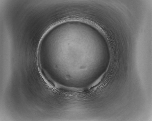 X0000113341536200909221113