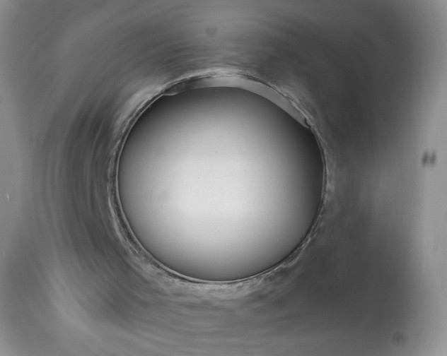 X0000113340001200909291041