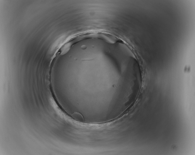 X0000113340002200909291041