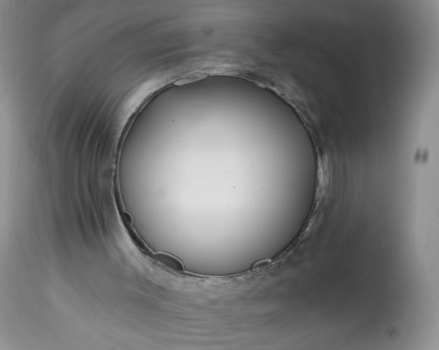 X0000113340003200909291041