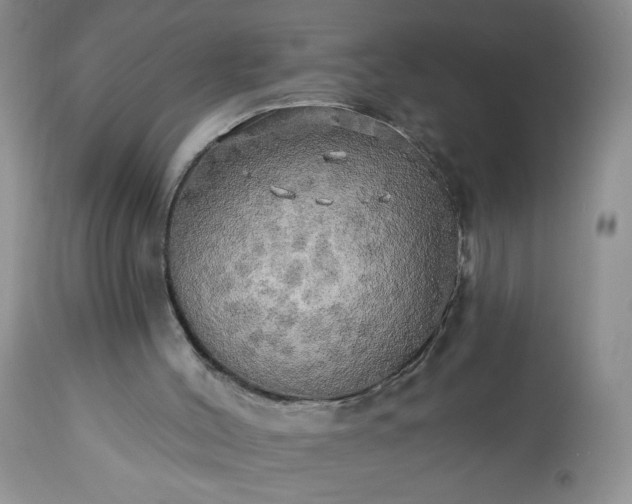 X0000113340004200909291041