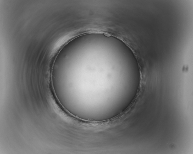 X0000113340005200909291041