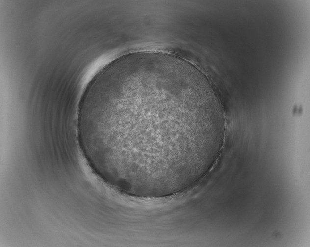 X0000113340006200909291041