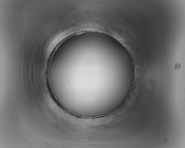 X0000113340007200909291041