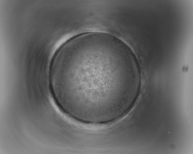 X0000113340008200909291041