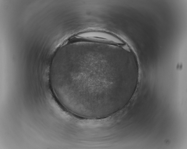 X0000113340009200909291041