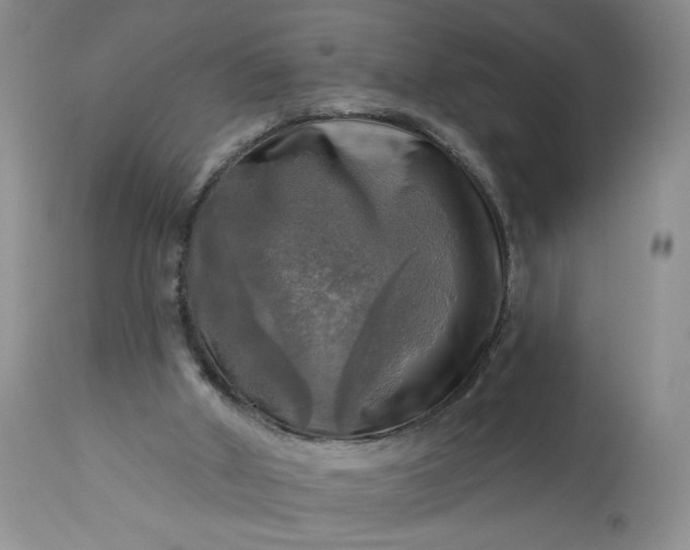 X0000113340010200909291041