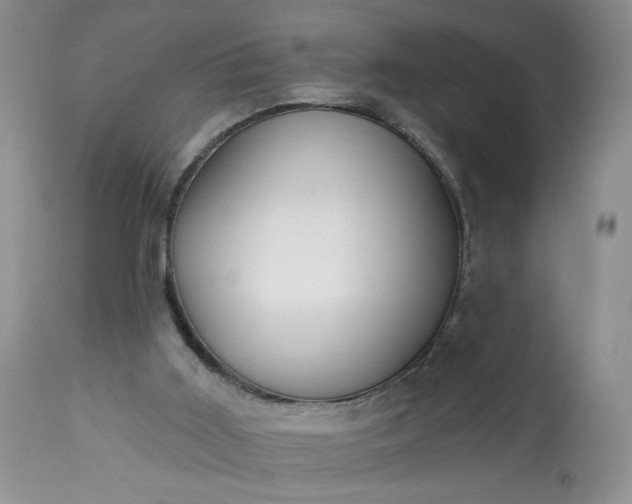 X0000113340011200909291041