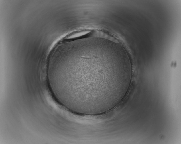 X0000113340012200909291041