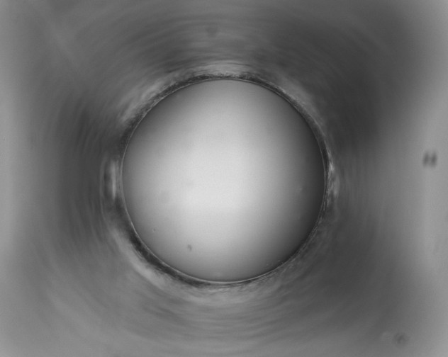 X0000113340013200909291041