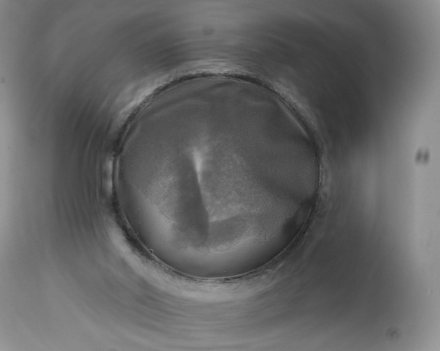 X0000113340014200909291041