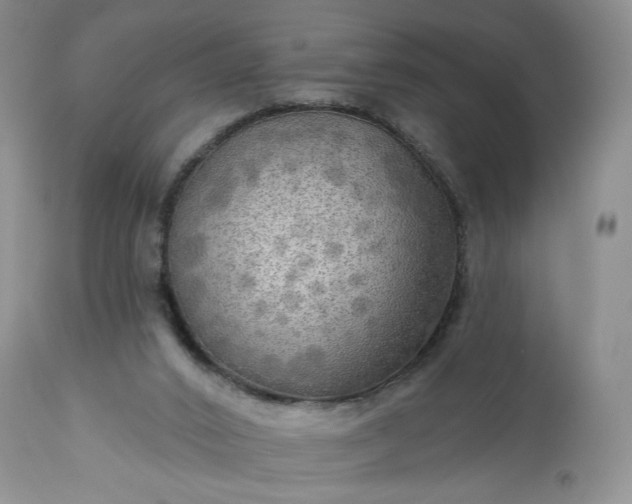 X0000113340016200909291041