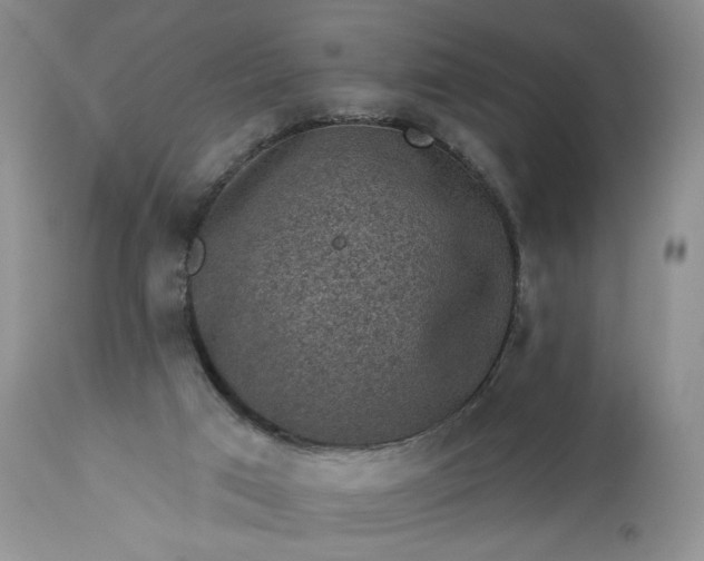 X0000113340017200909291041