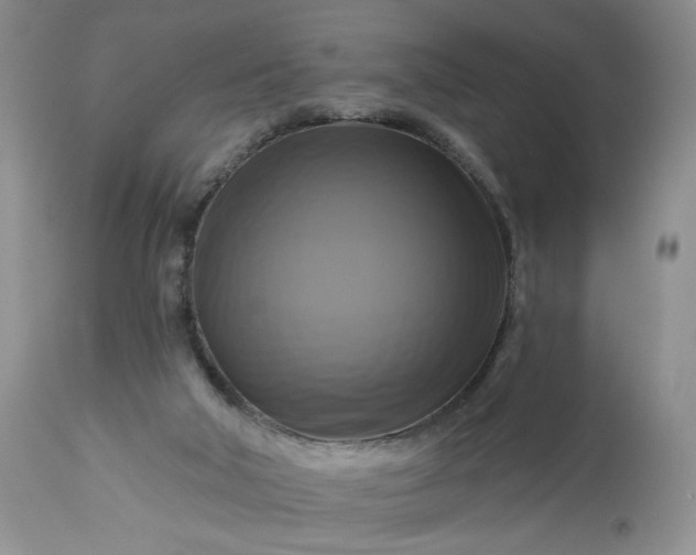 X0000113340018200909291041