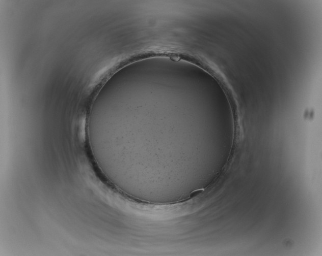 X0000113340019200909291041