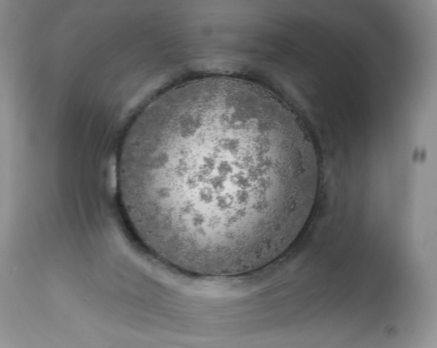 X0000113340020200909291041